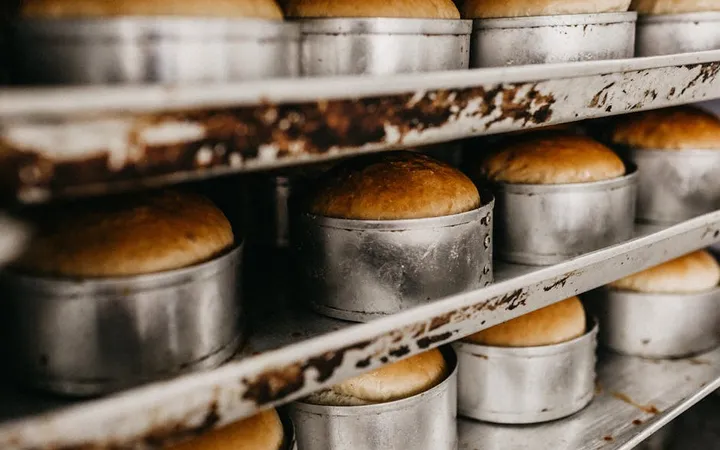 Best Bread Baking Books for Every Skill Level