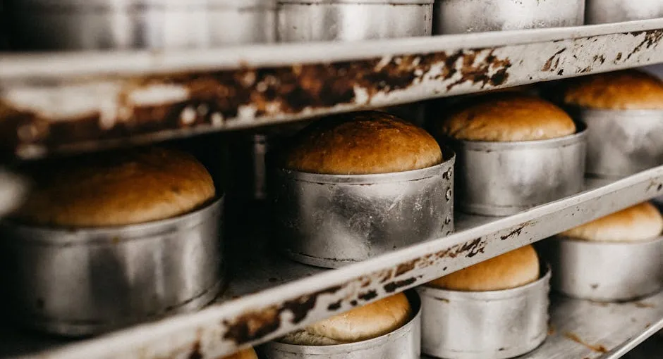 Best Bread Baking Books for Every Skill Level