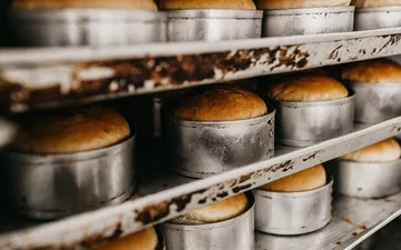 Best Bread Baking Books for Every Skill Level