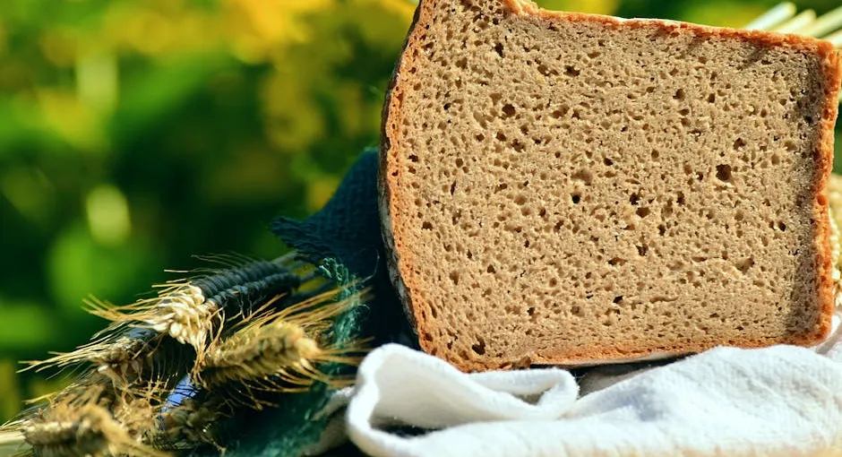 Best Whole Wheat Flours for Bread Baking