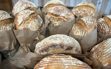Boule or Batard: When to Choose Which Shape