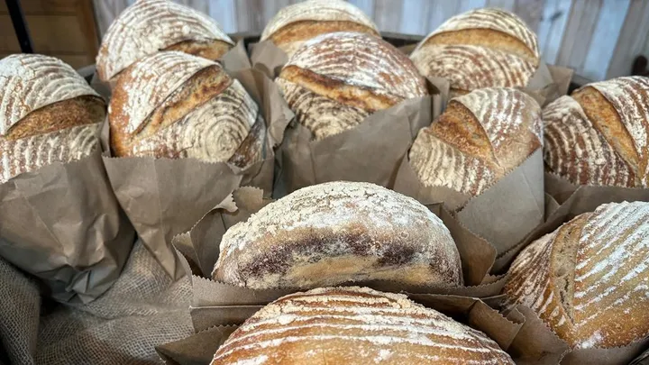 Boule or Batard: When to Choose Which Shape