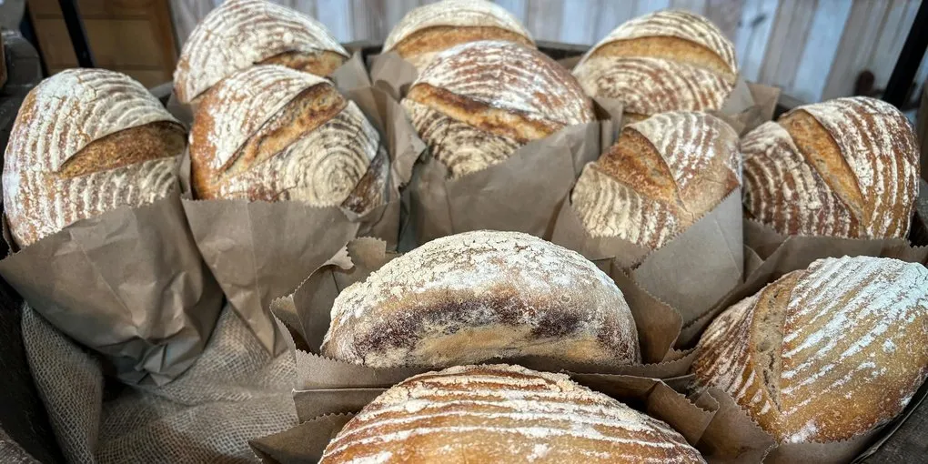 Boule or Batard: When to Choose Which Shape