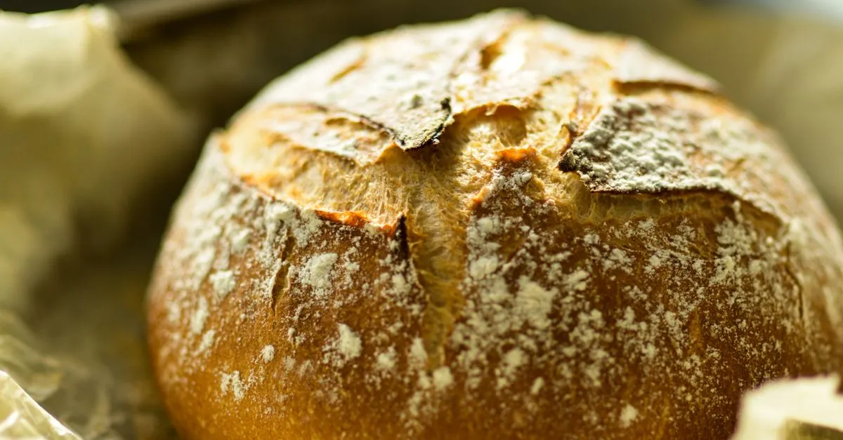 Best Bread Cloche 2026: 6 Ceramic Bakers Ranked