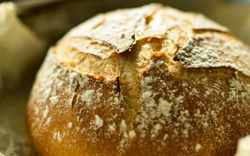 Best Bread Cloche 2026: 6 Ceramic Bakers Ranked