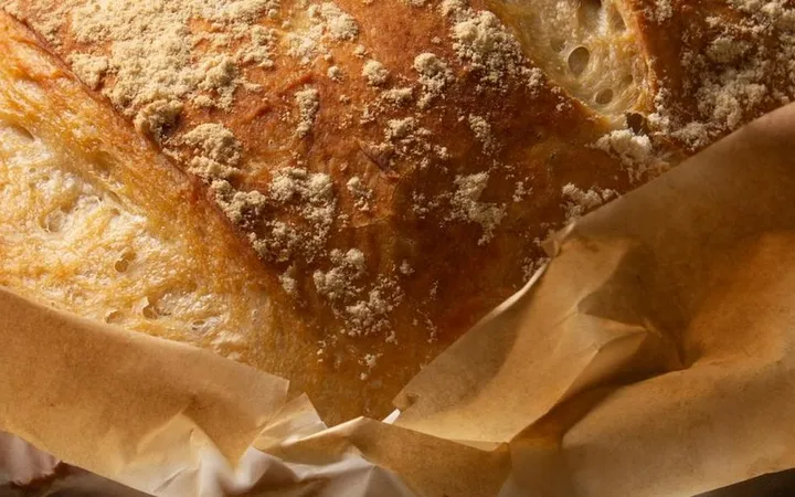 Bread Crust Too Hard? Every Cause and How to Fix It