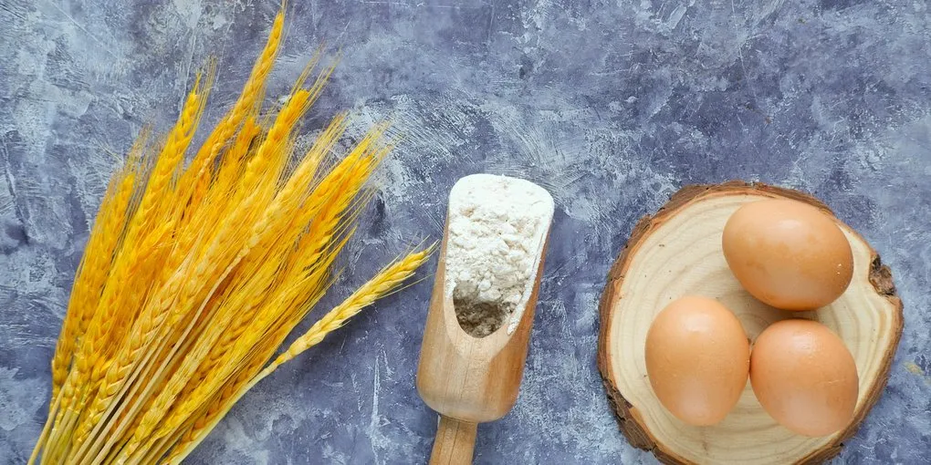 Bread Flour Substitutes: What to Use When You Run Out