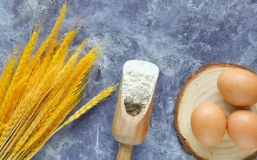 Bread Flour Substitutes: What to Use When You Run Out