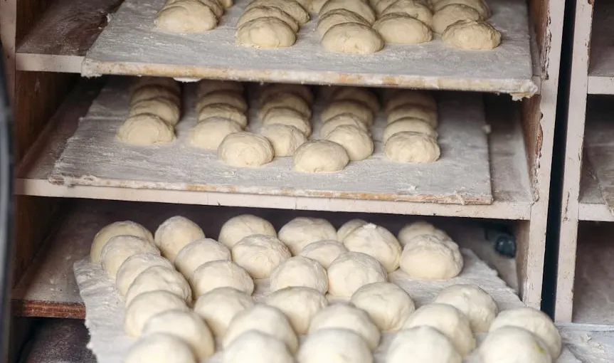 Fermentation in Bread: The Complete Science