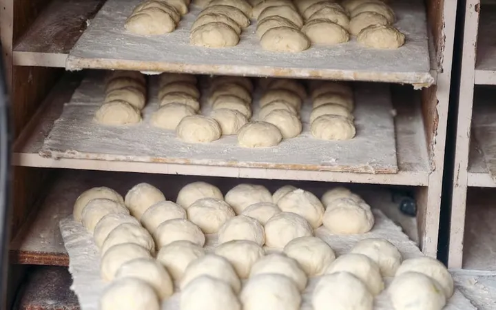 Fermentation in Bread: The Complete Science