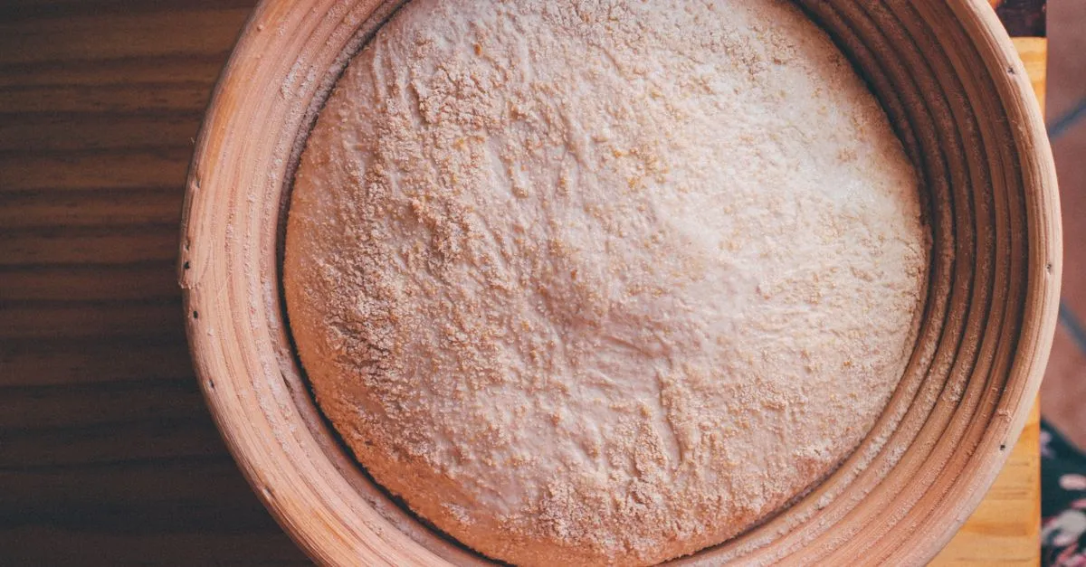 Gluten-Free Sourdough Starter: Make It, Feed It, Buy It