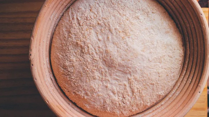 Gluten-Free Sourdough Starter: Make It, Feed It, Buy It