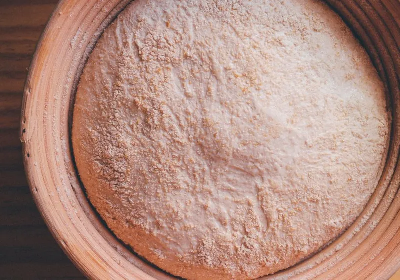 Gluten-Free Sourdough Starter: Make It, Feed It, Buy It
