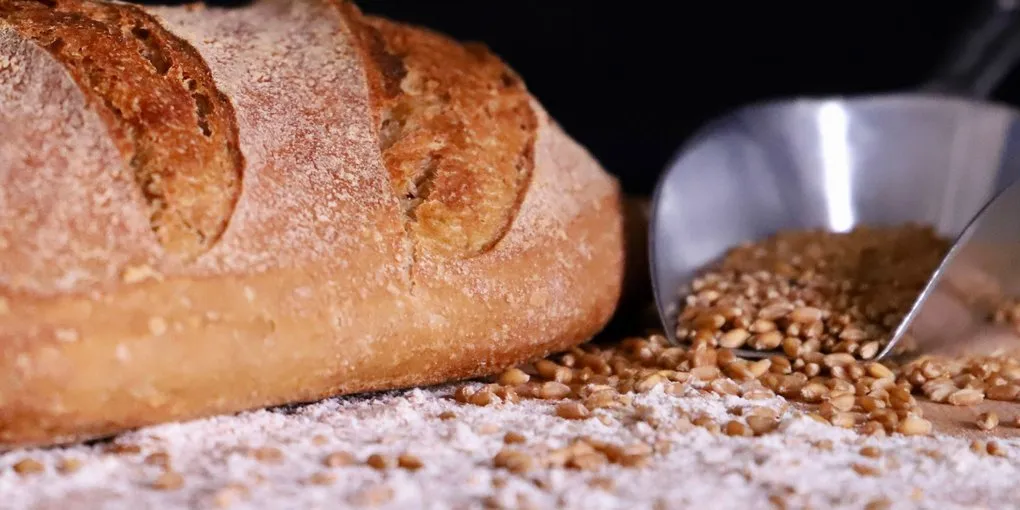 Gluten Intolerance vs Celiac Disease: A Baker's Guide