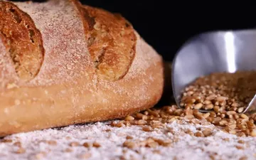 Gluten Intolerance vs Celiac Disease: A Baker's Guide