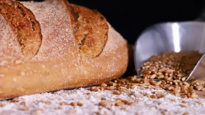 Gluten Intolerance vs Celiac Disease: A Baker's Guide