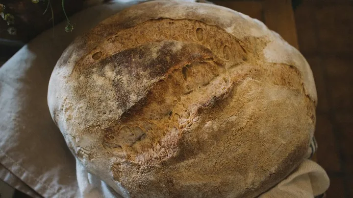 History of Sourdough: From Ancient Egypt to Modern Renaissance