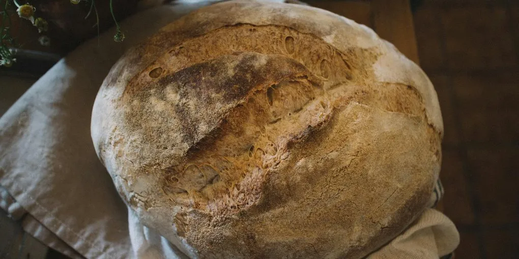 History of Sourdough: From Ancient Egypt to Modern Renaissance