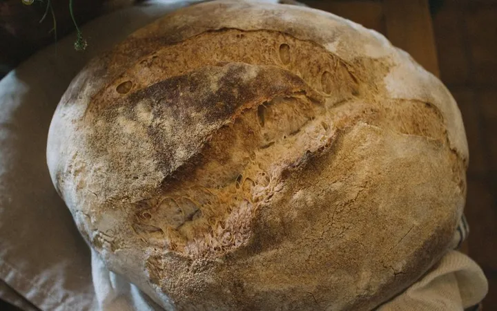 History of Sourdough: From Ancient Egypt to Modern Renaissance