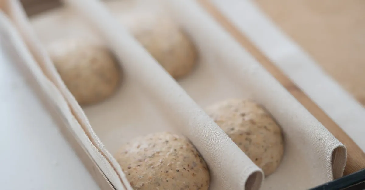 Pre-ferments Explained: Poolish, Biga, and More
