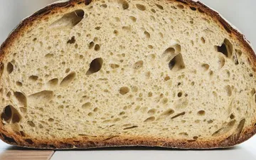 Sourdough Bread Too Sour? How to Control Acidity