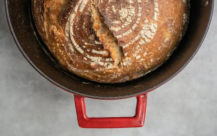 Sourdough Feeding Schedule (Every Scenario)