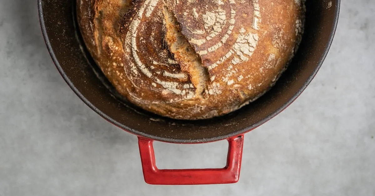 Sourdough Feeding Schedule (Every Scenario)