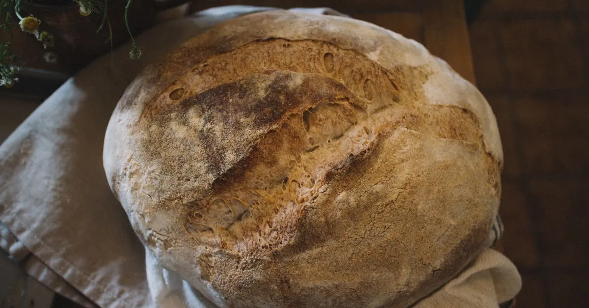 Best Sourdough Starter Jar 2026: What Actually Works
