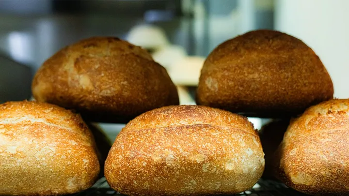Best Sourdough Starter Kits for Beginners (2026)