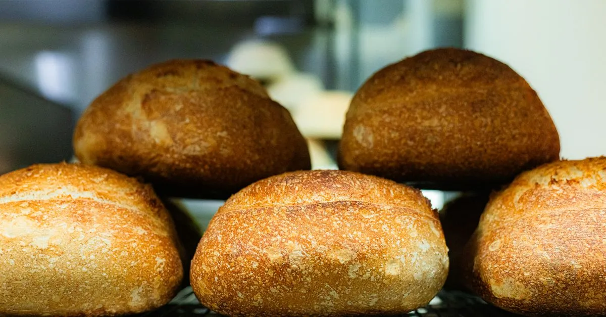 Best Sourdough Starter Kits for Beginners (2026)