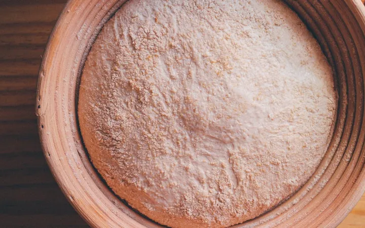 Sourdough Starter Not Rising: A Fix Guide