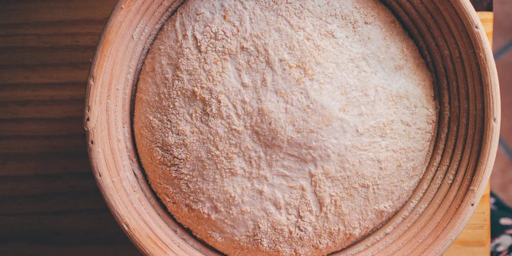 Sourdough Starter Not Rising: A Fix Guide