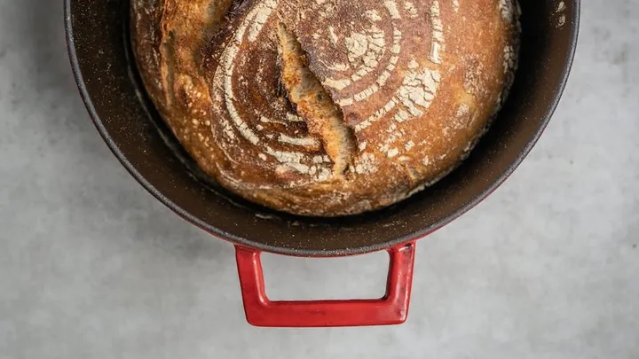 Sourdough Starter Science: What's Actually Alive