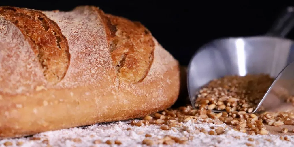 Whole Wheat Bread Recipe: Soft, Not a Brick