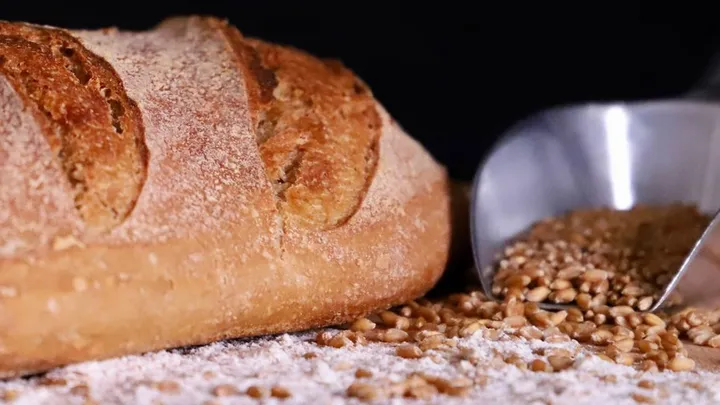 Whole Wheat Bread Recipe: Soft, Not a Brick